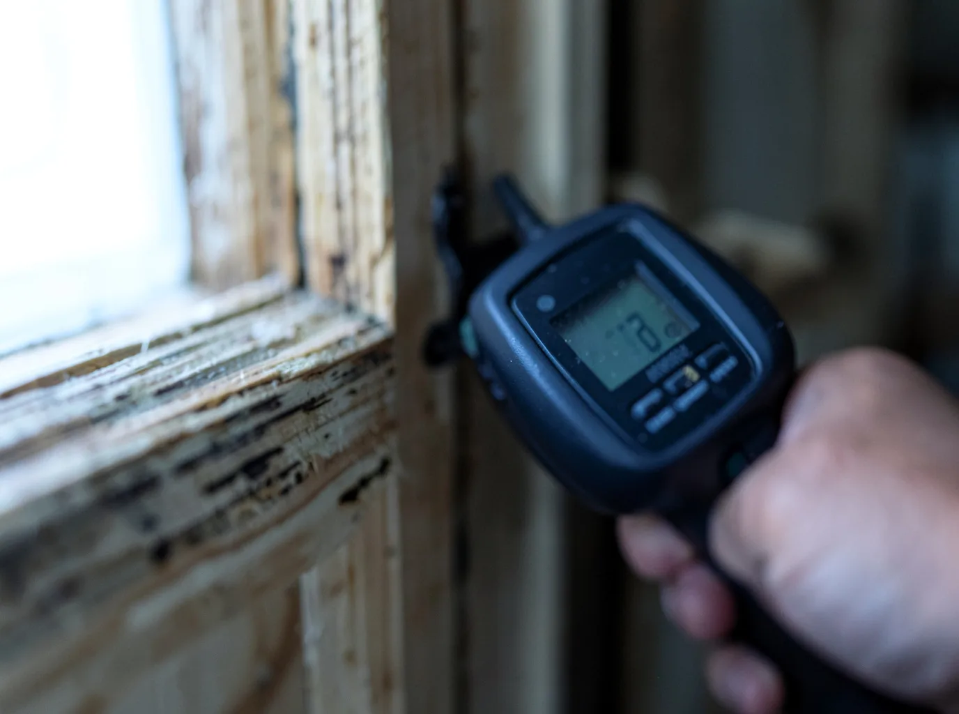 Moisture Inspection And Documentation in Bucyrus, MO